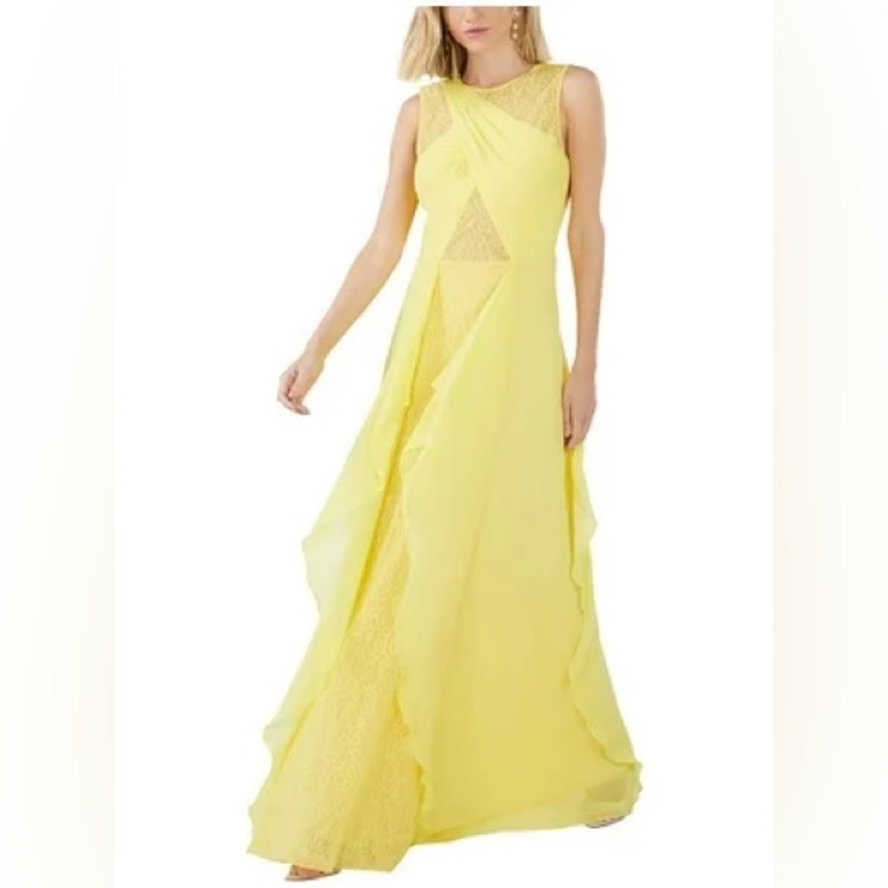 BCBGMAXAZRIA Alessia Chiffon lace dress